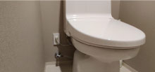 toilet